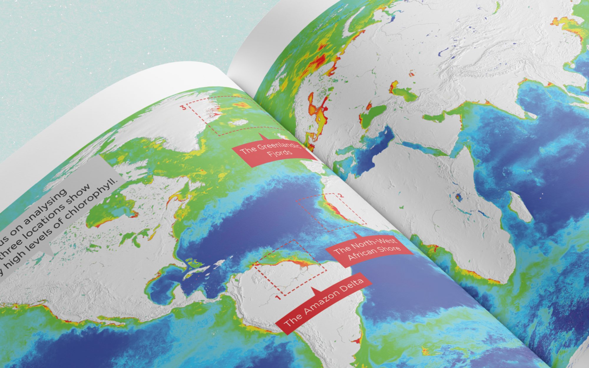 From the Arctic Edge to Ocean Bloom, image 1 of 13