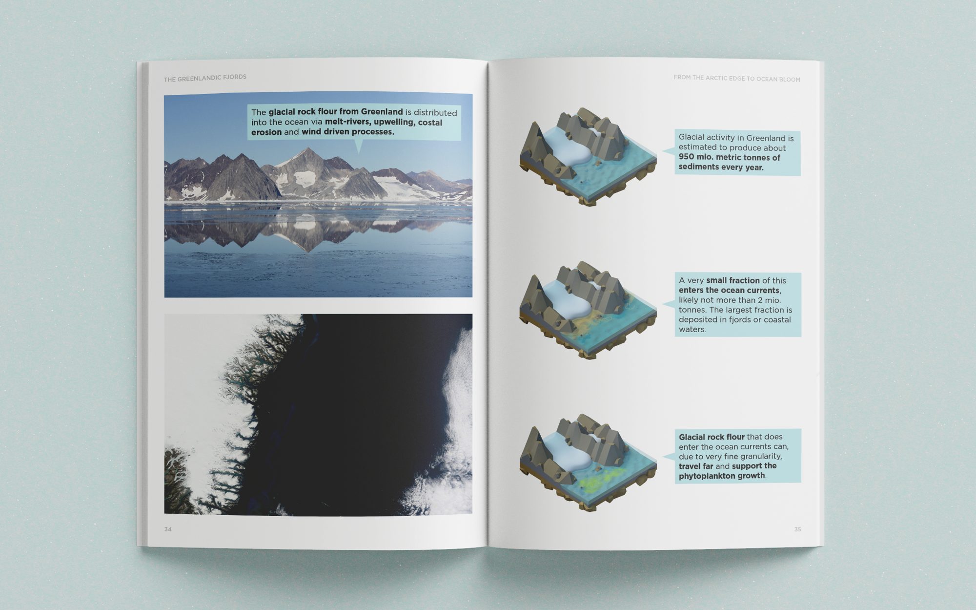 From the Arctic Edge to Ocean Bloom, image 10 of 13