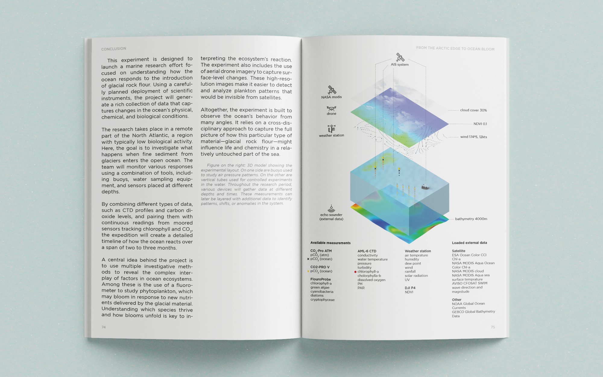 From the Arctic Edge to Ocean Bloom, image 11 of 13