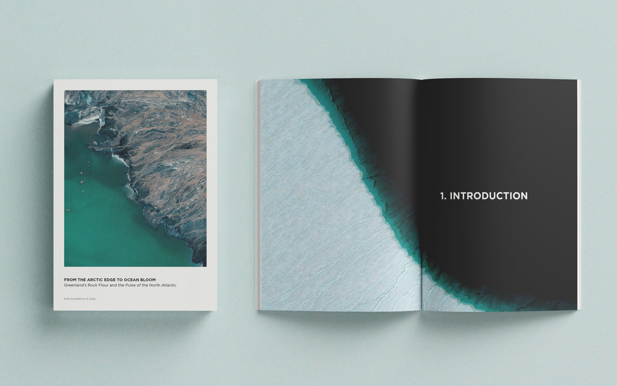 From the Arctic Edge to Ocean Bloom, image 2 of 13