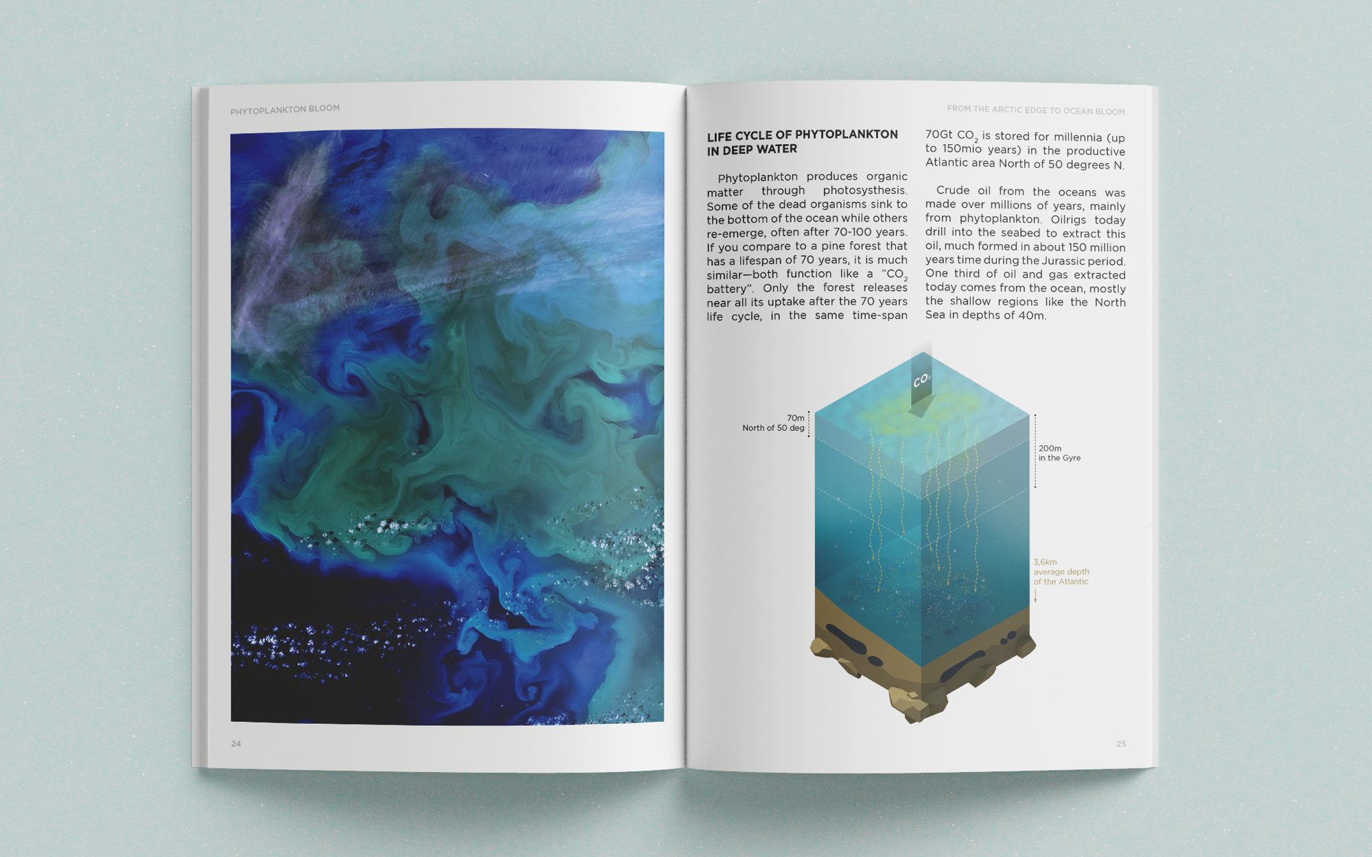 From the Arctic Edge to Ocean Bloom, image 5 of 13