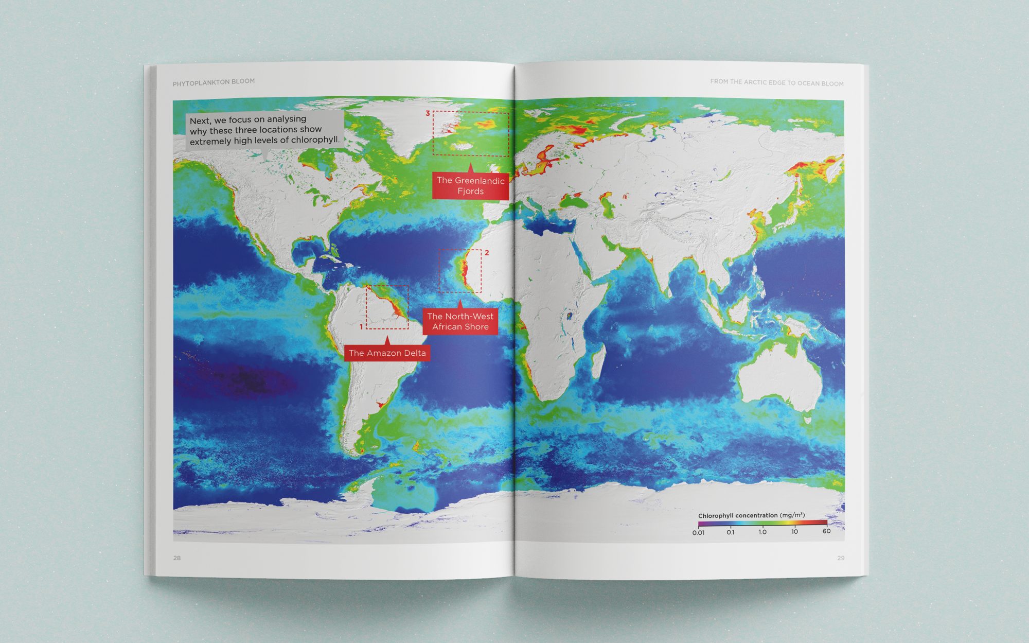From the Arctic Edge to Ocean Bloom, image 7 of 13
