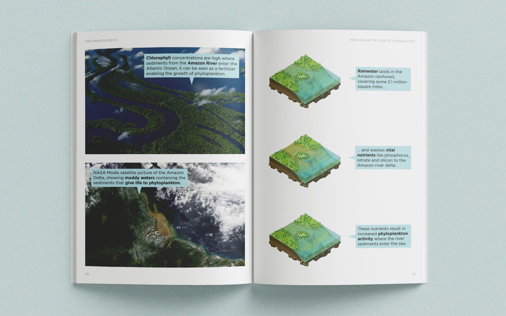 From the Arctic Edge to Ocean Bloom, image 8 of 13