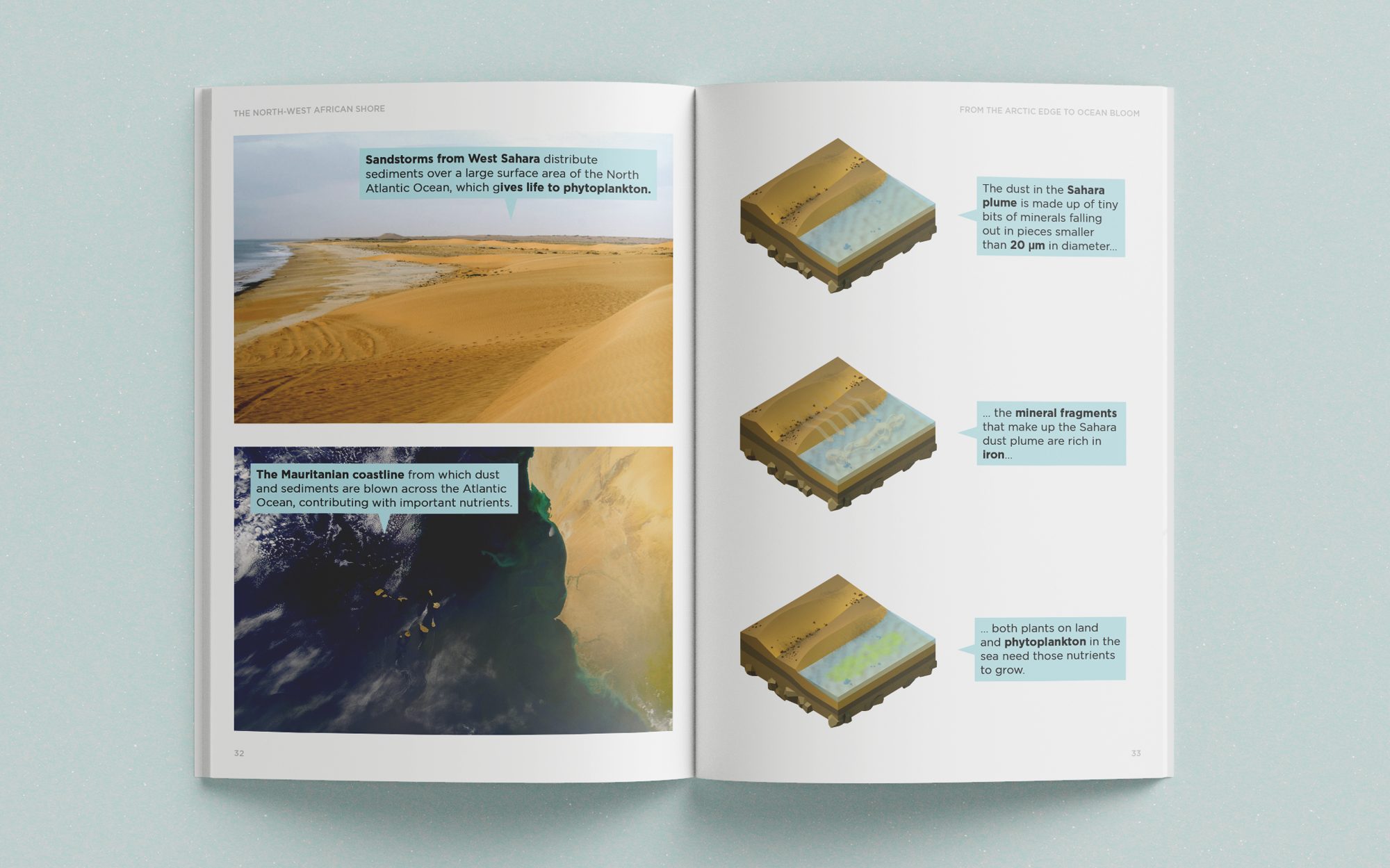 From the Arctic Edge to Ocean Bloom, image 9 of 13